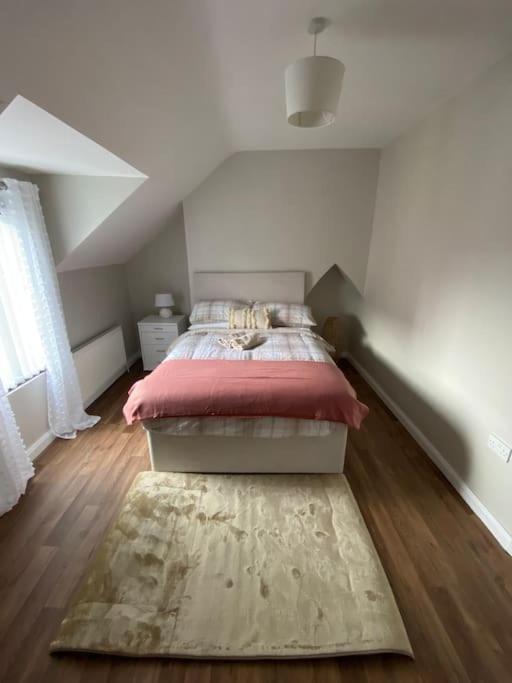 The Cozy Homestay ベルファスト エクステリア 写真